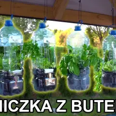Jak zrobić kwietnik z butelek plastikowych i zadbać o rośliny