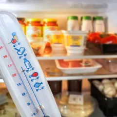 Termometr w lodówce pokazuje, jaka powinna być temperatura w lodówce: 0-4°C dla ryb, mięsa i nabiału.