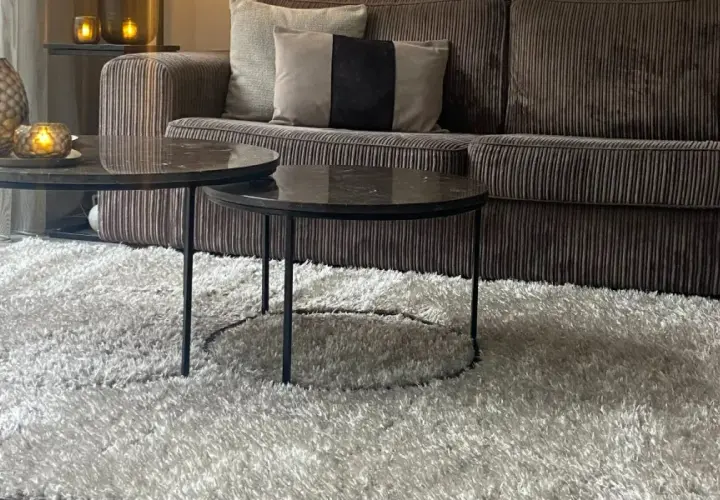 Przytulny salon z sofą w kolorze greige, dwoma stolikami kawowymi i puszystym dywanem.