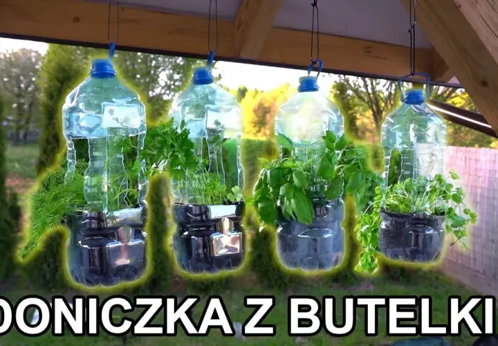Jak zrobić kwietnik z butelek plastikowych i zadbać o rośliny