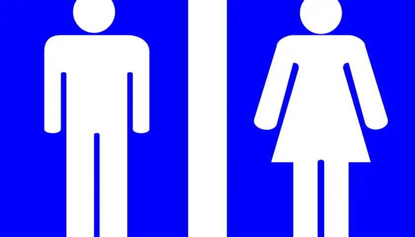 Białe sylwetki mężczyzny i kobiety na niebieskim tle. To standardowe oznaczenie wc, które informuje o dostępności toalet.