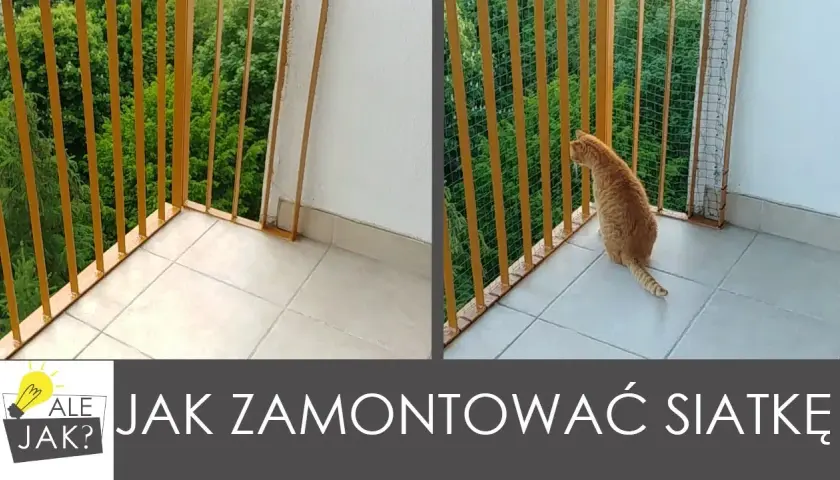 Jak zamontować siatkę na balkon bez wiercenia i z zachowaniem bezpieczeństwa