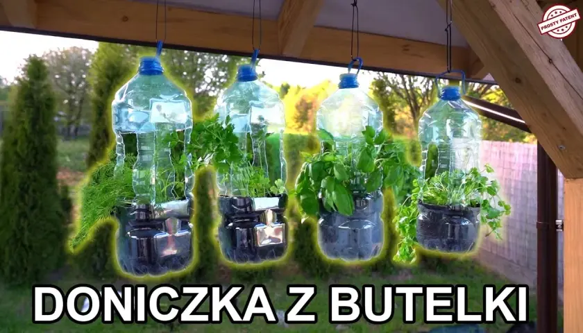 Jak zrobić kwietnik z butelek plastikowych i zadbać o rośliny