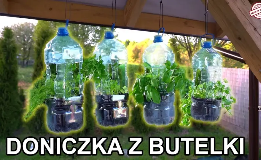 Jak zrobić kwietnik z butelek plastikowych i zadbać o rośliny