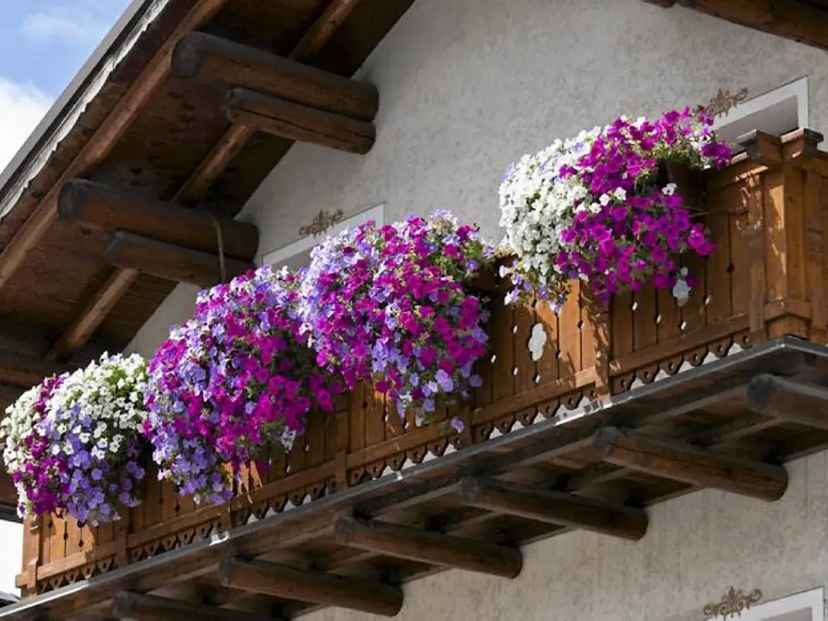 Balkon ozdobiony kaskadami fioletowych, różowych i białych kwiatów. Idealne jakie kwiaty na balkon, by stworzyć barwną oazę.