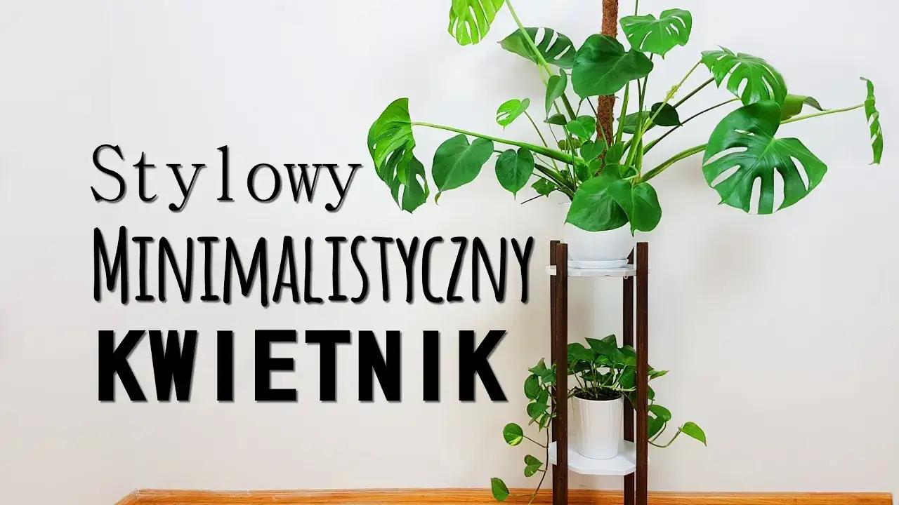 Zdjęcie Z czego zrobić kwietnik do domu - kreatywne pomysły i materiały